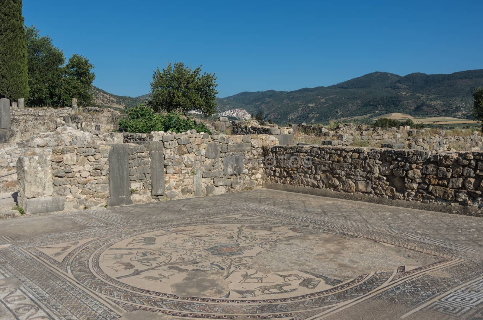 Mosaic floor, Volubilis ruins, the excavations of the roman city in the archaeological site Volubilis, North Morocco.