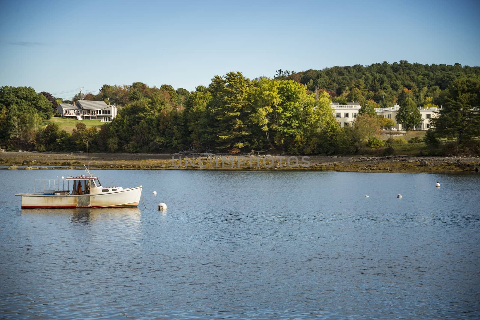 Fishing boats anchored in the bay in Maine, USA by edella