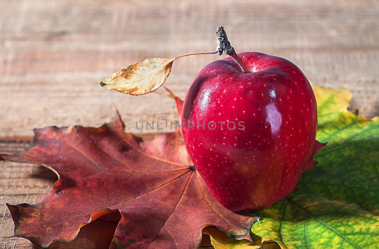 Apple and autumn leaves on old wooden table