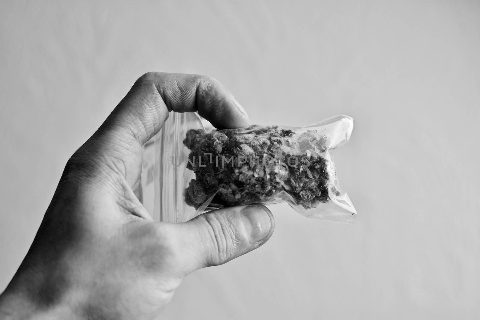 Green dry marijuana in man hand on the blurry background. Weed concept.