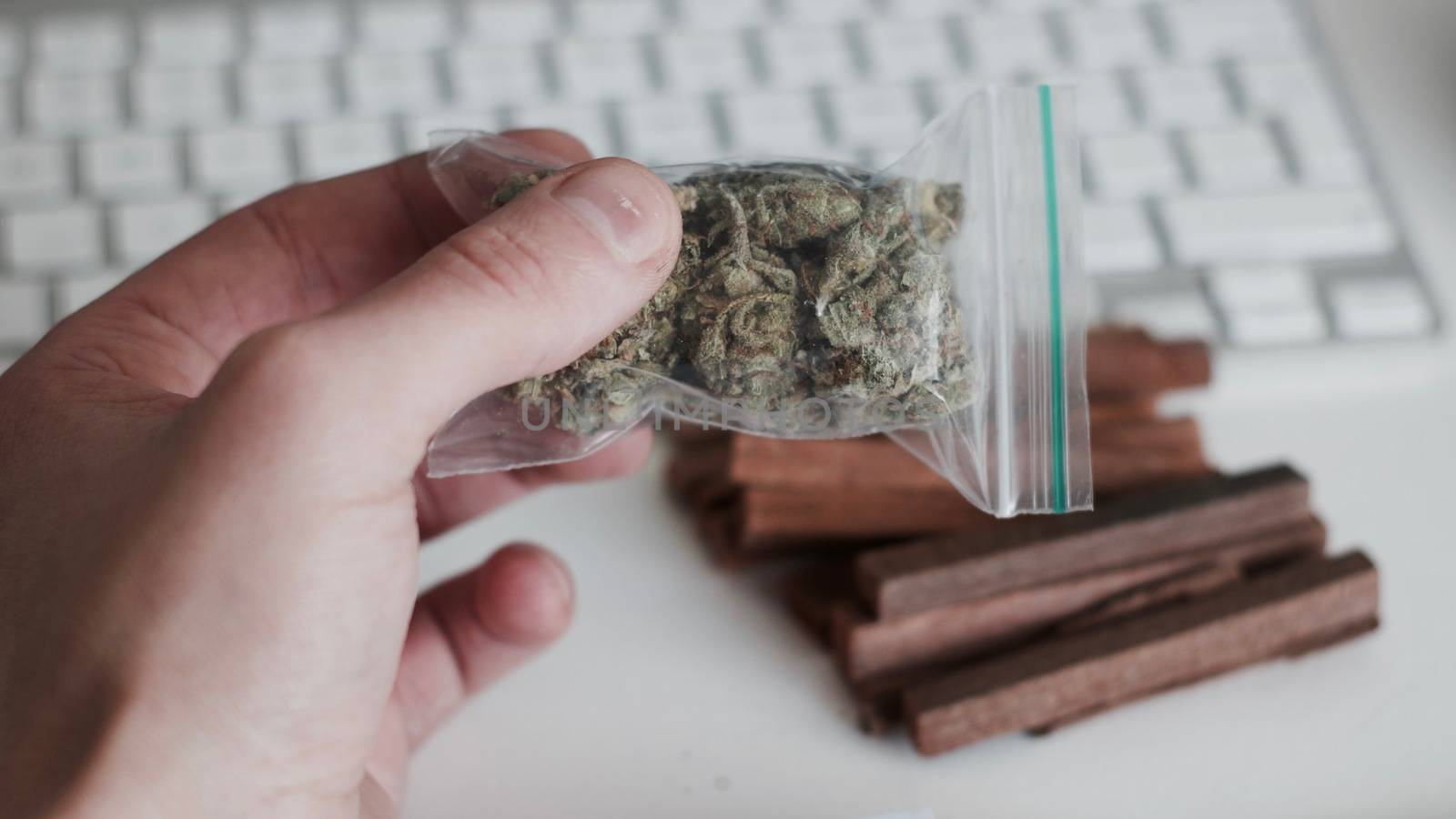 Green dry marijuana in man hand on the blurry background. Weed concept.