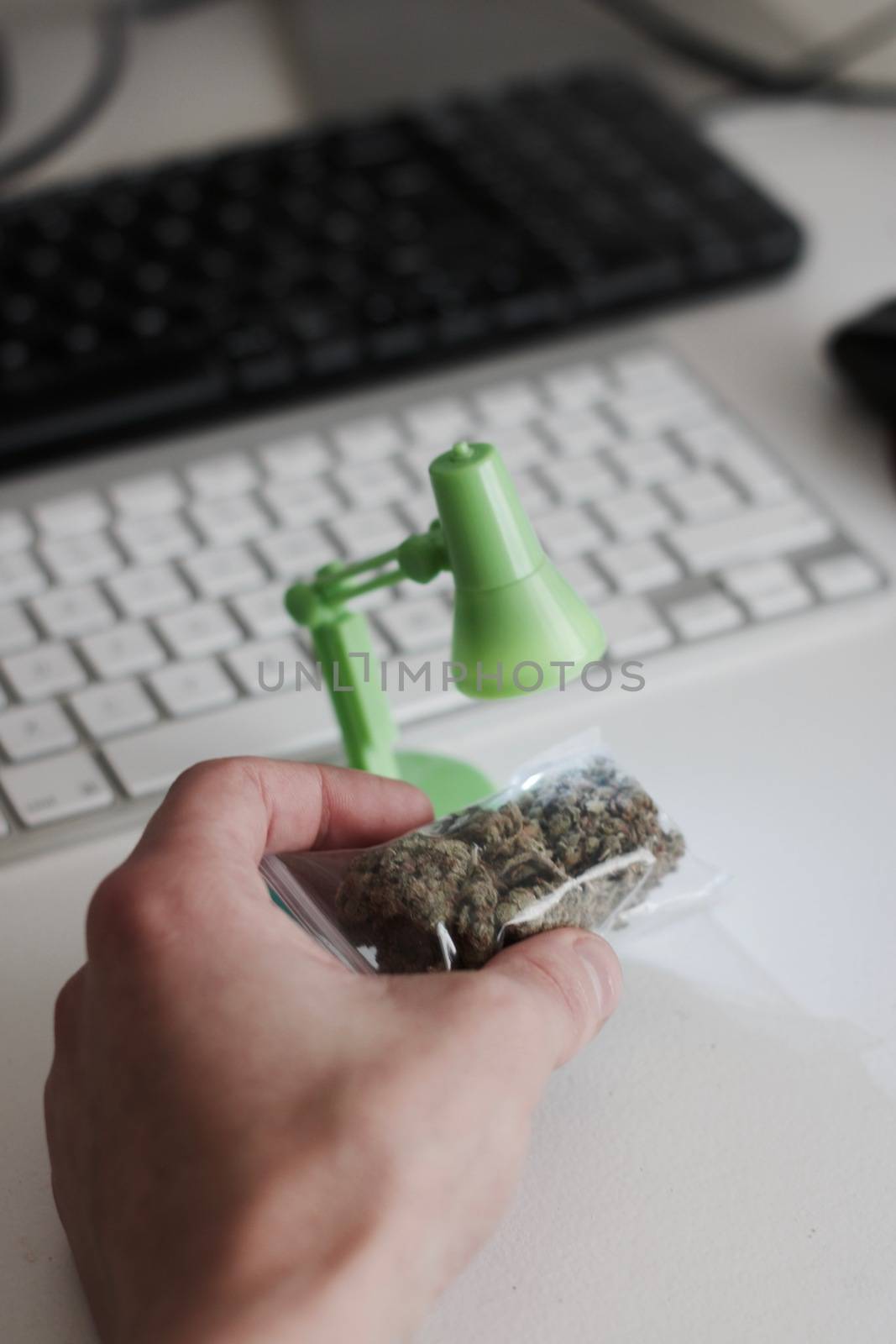 Green dry marijuana in man hand on the blurry background. Weed concept.