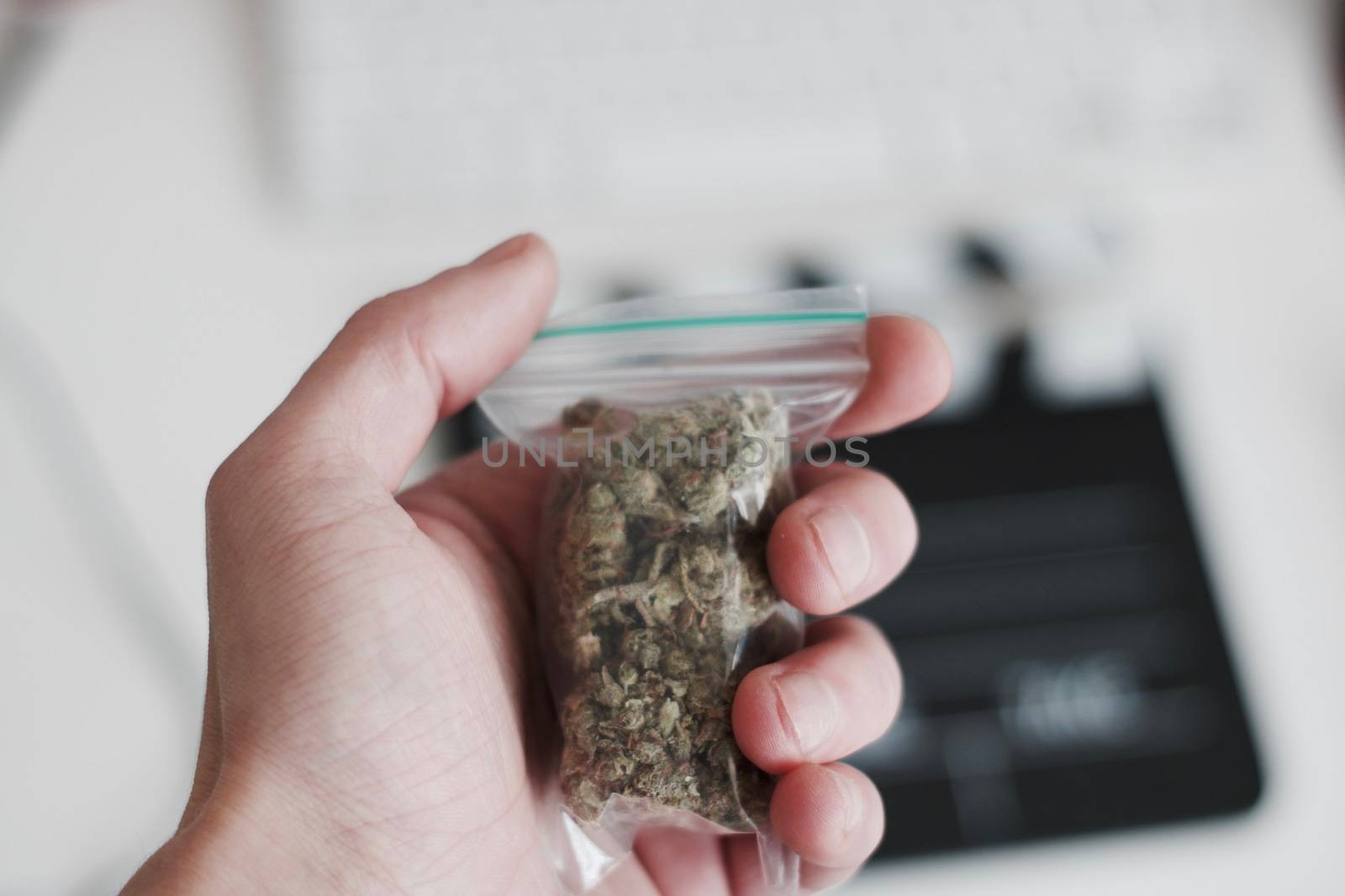 Green dry marijuana in man hand on the blurry background. Weed concept.