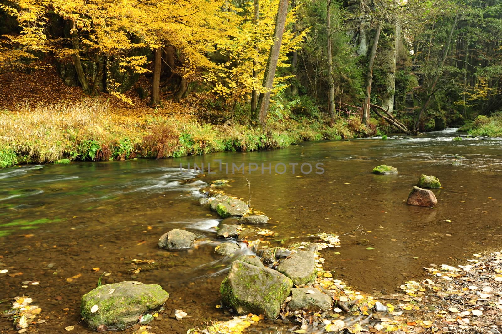 Autumn colored trees, leaves, rocks around the beautiful river