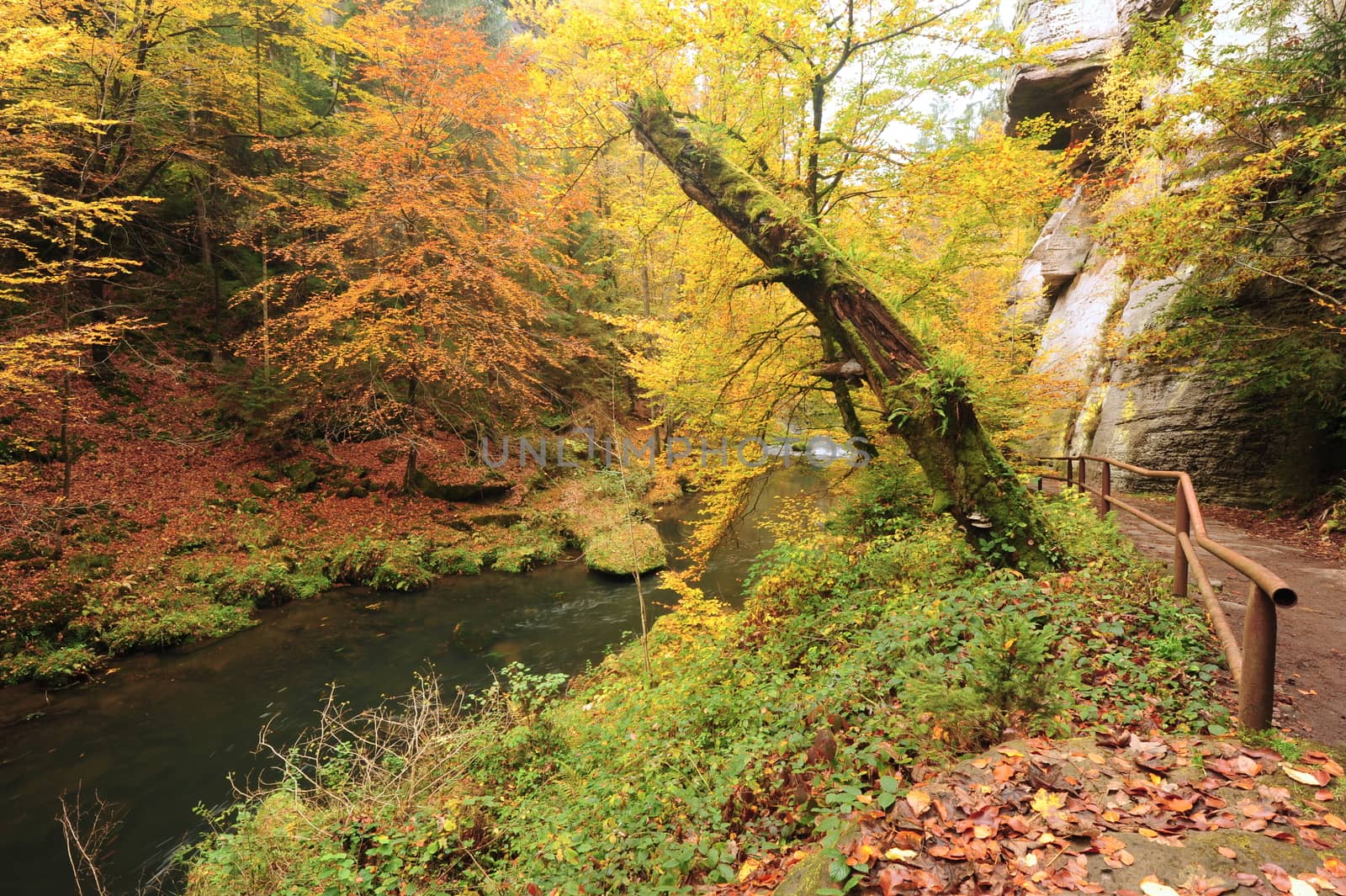 Autumn colored trees, leaves, rocks around the beautiful river