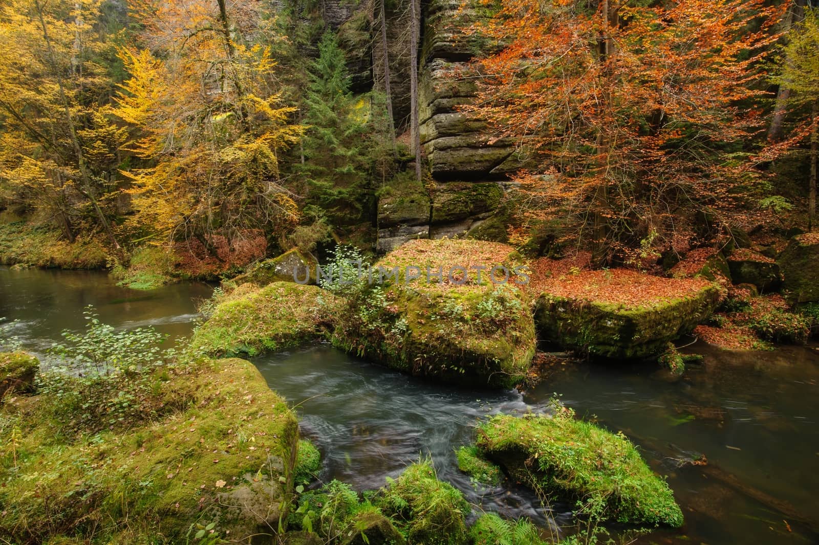 Autumn colored trees, leaves, rocks around the beautiful river