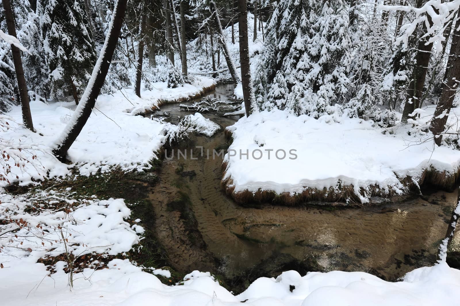 Winter landscape with snow in the Czech Switzerland