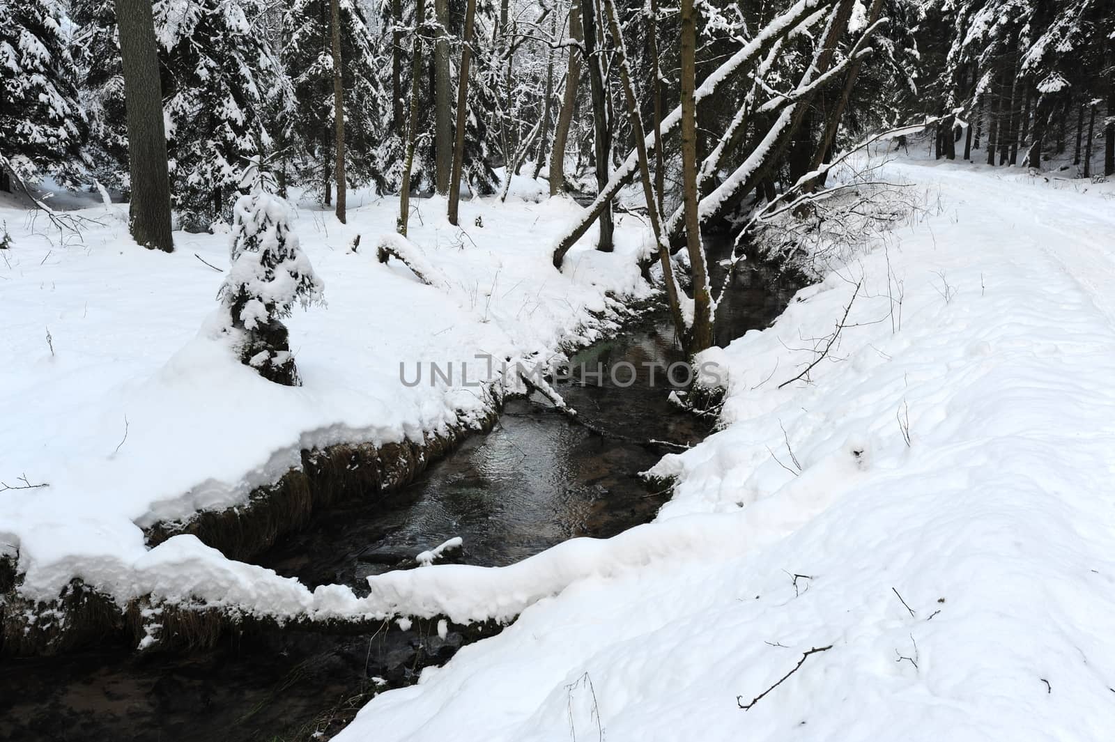 Winter landscape with snow in the Czech Switzerland