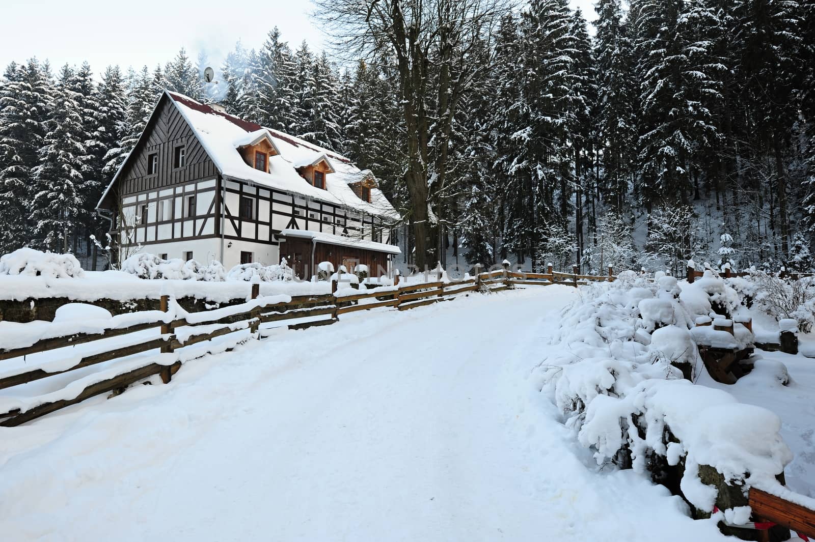 Winter landscape with snow in the Czech Switzerland