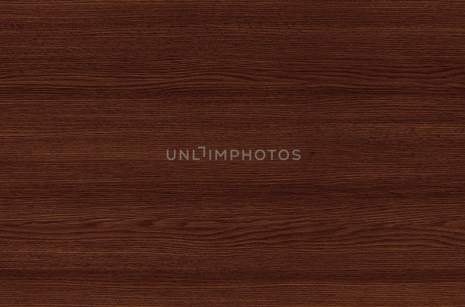 Brown wood texture. Abstract wood texture background.