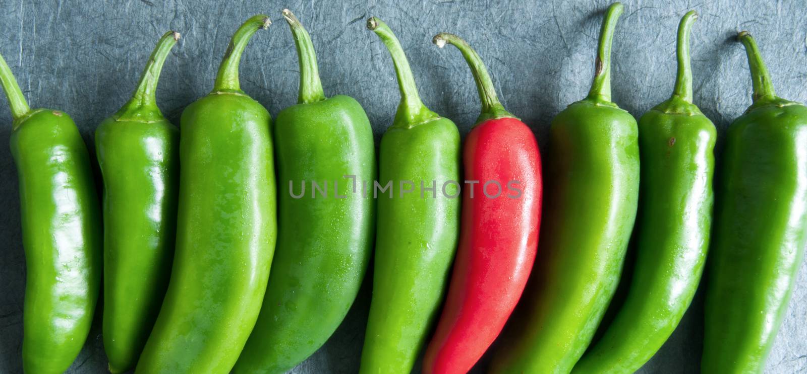 Chilli peppers by unikpix