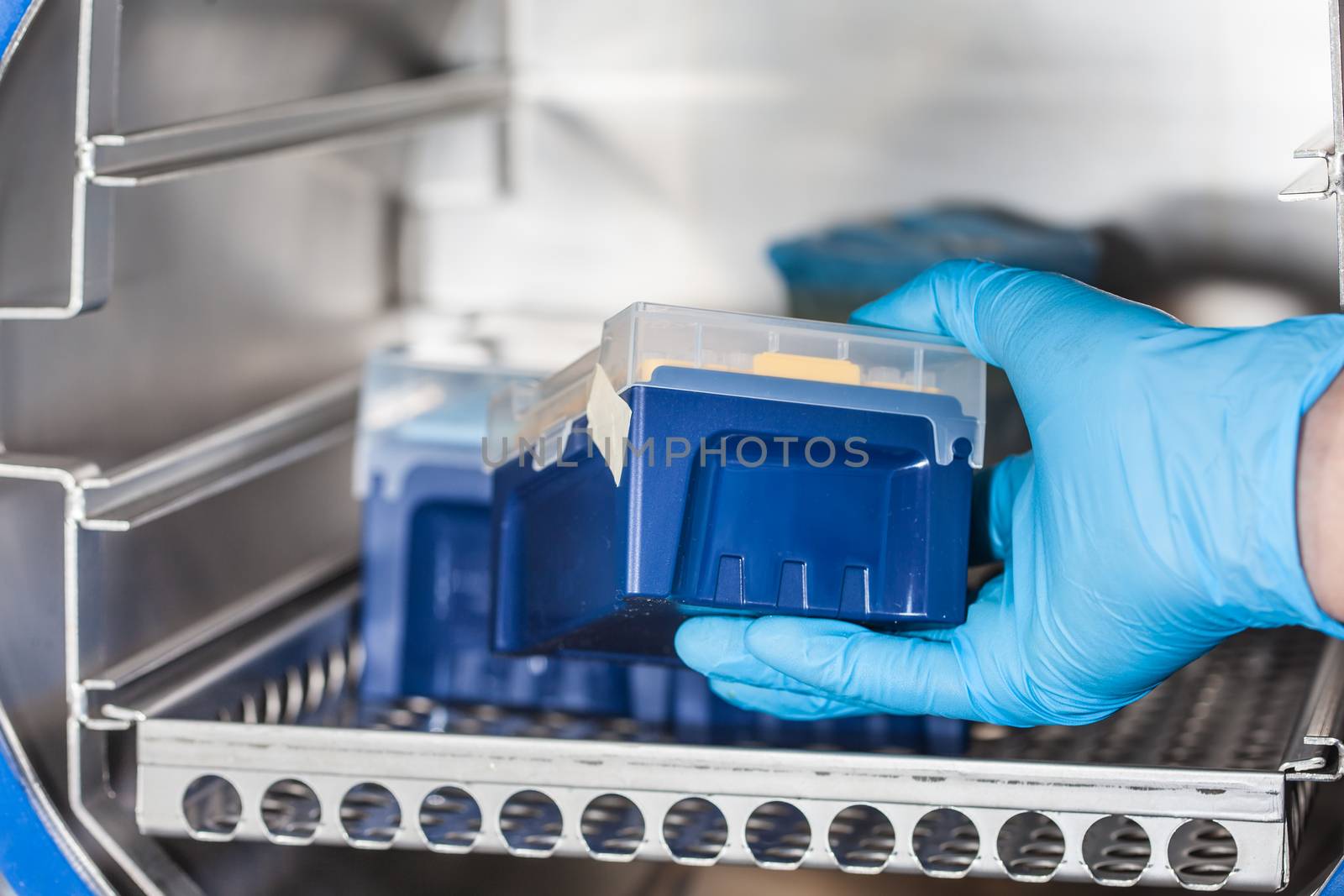 Scientist sterilizing laboratory material in autoclave