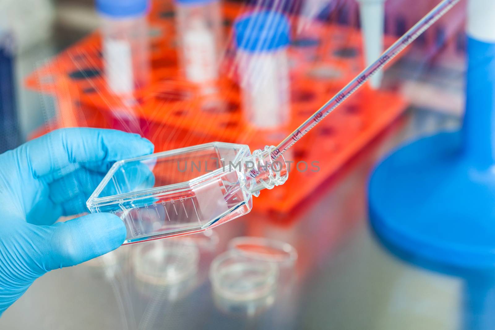 Scientist working with a cell culture flask under sterile hood at laboratory