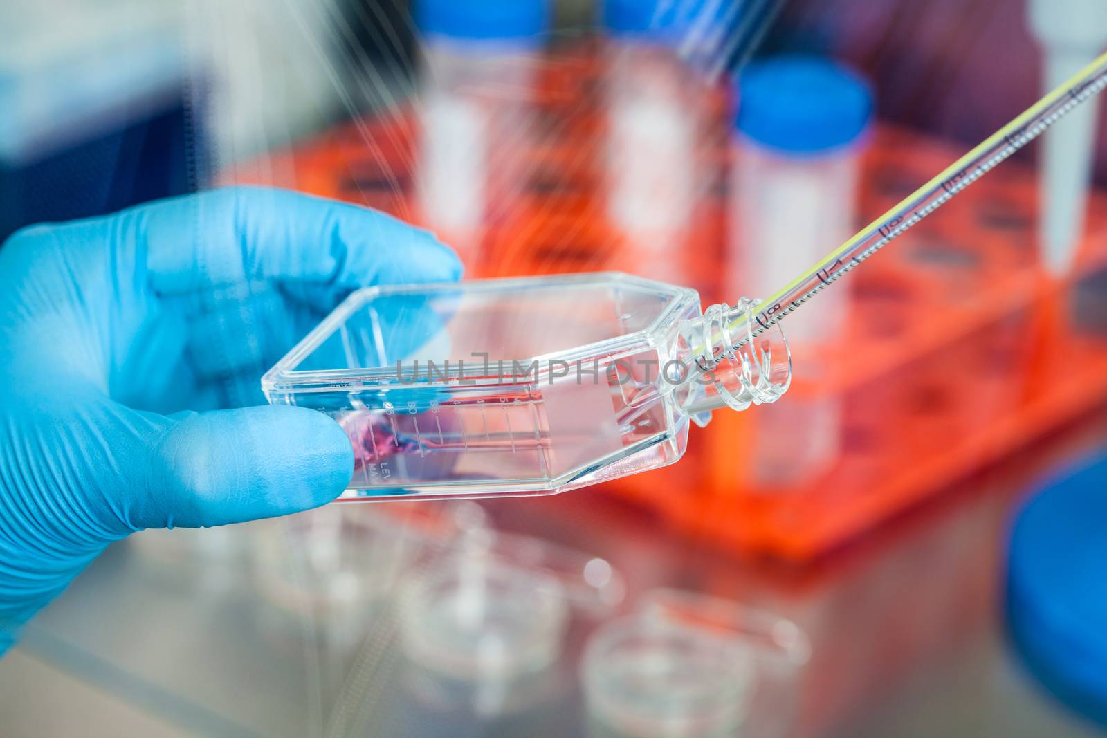 Scientist working with a cell culture flask under sterile hood at laboratory