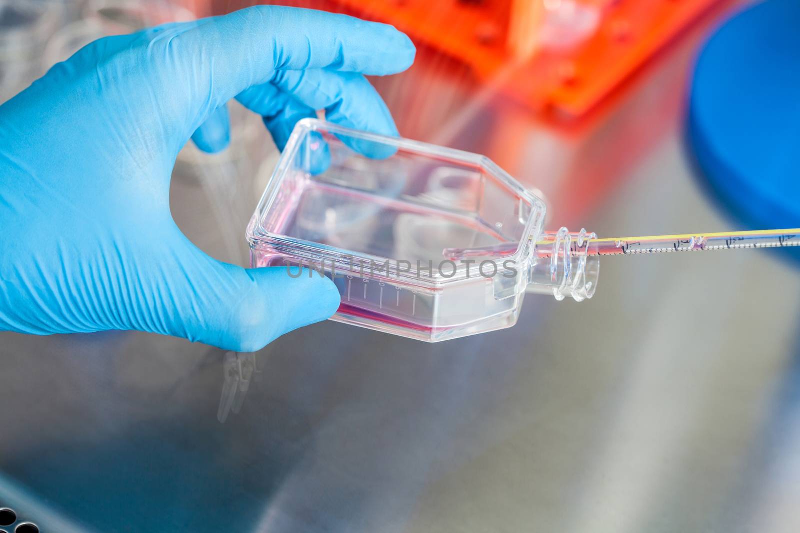 Scientist working with a cell culture flask under sterile hood at laboratory