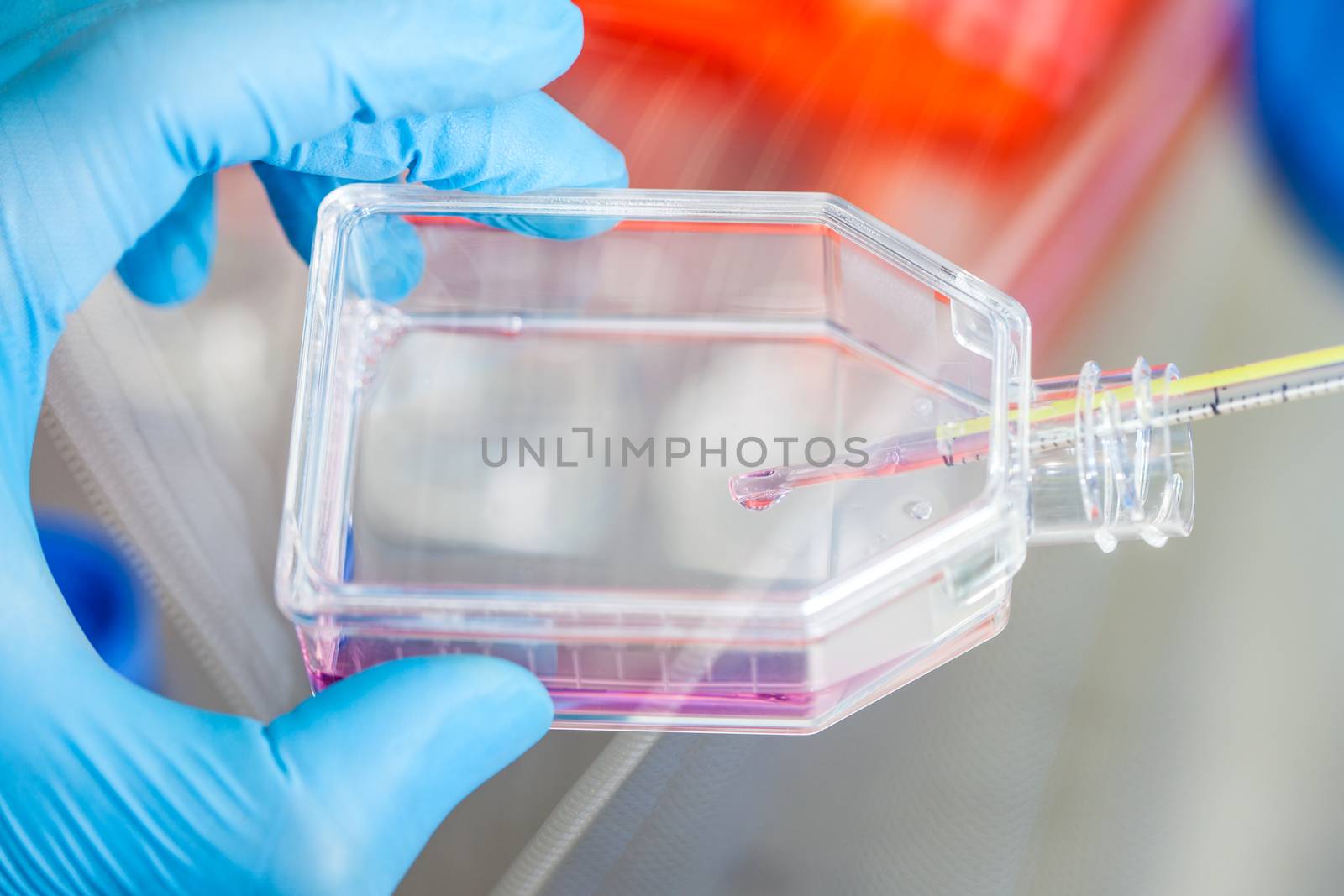 Scientist working with a cell culture flask under sterile hood at laboratory