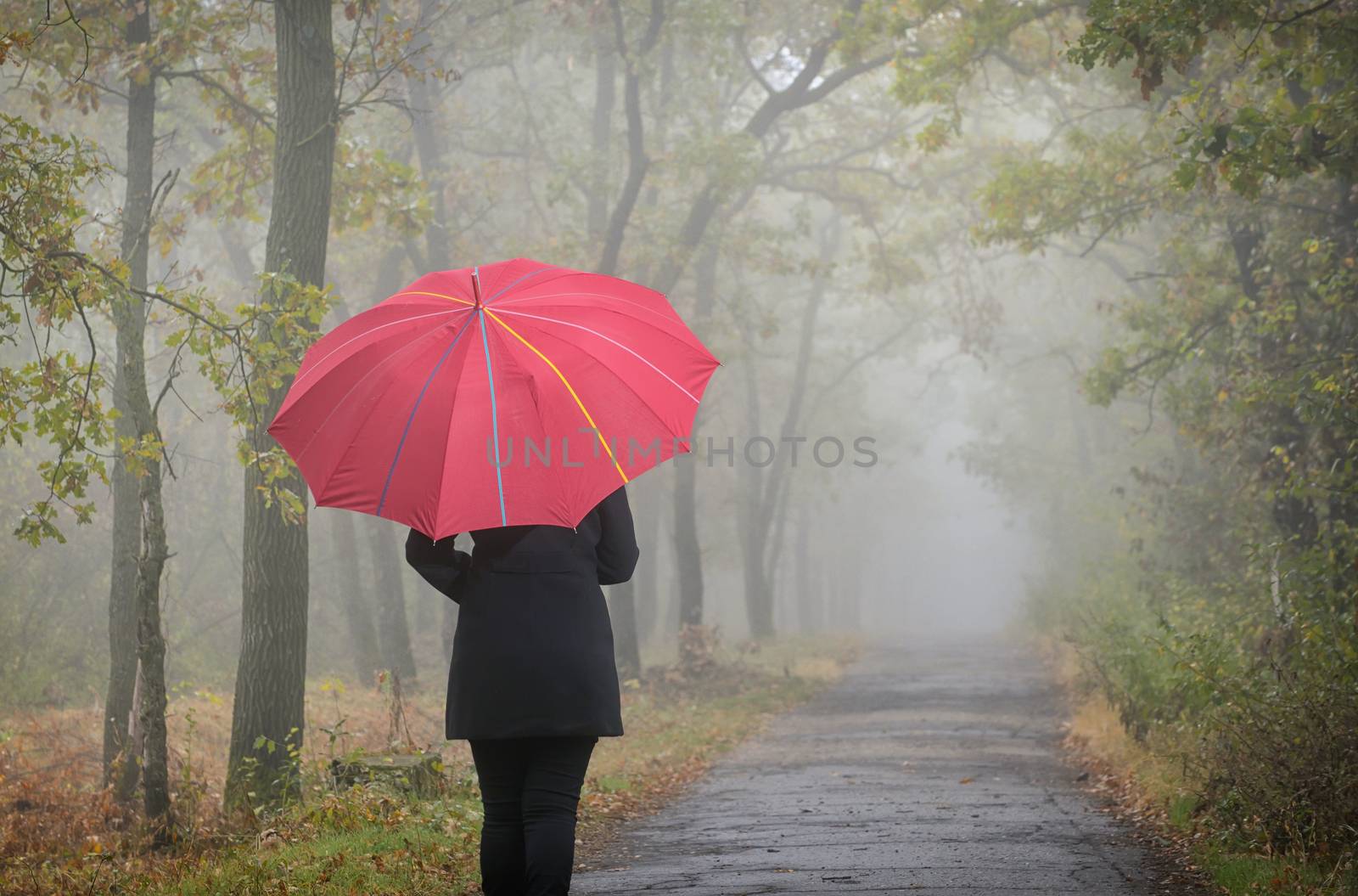 Woman with red umbrella and foggy forest