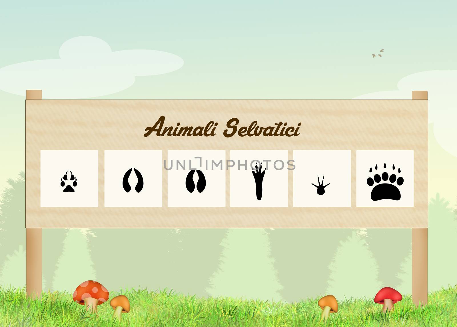 illustration of footprints of wild animals in the forest