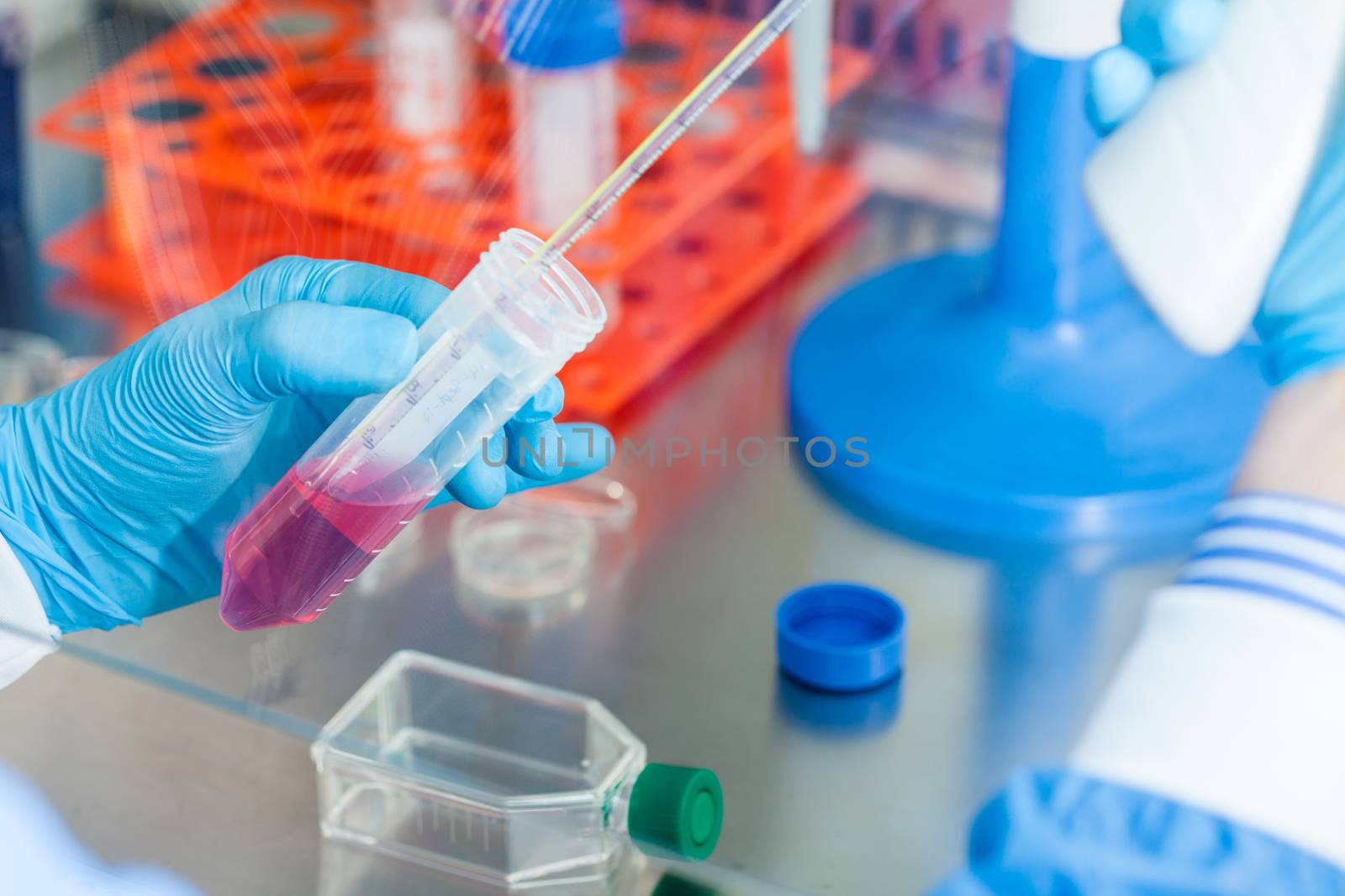 Scientist working with a falcon tube under sterile hood at laboratory