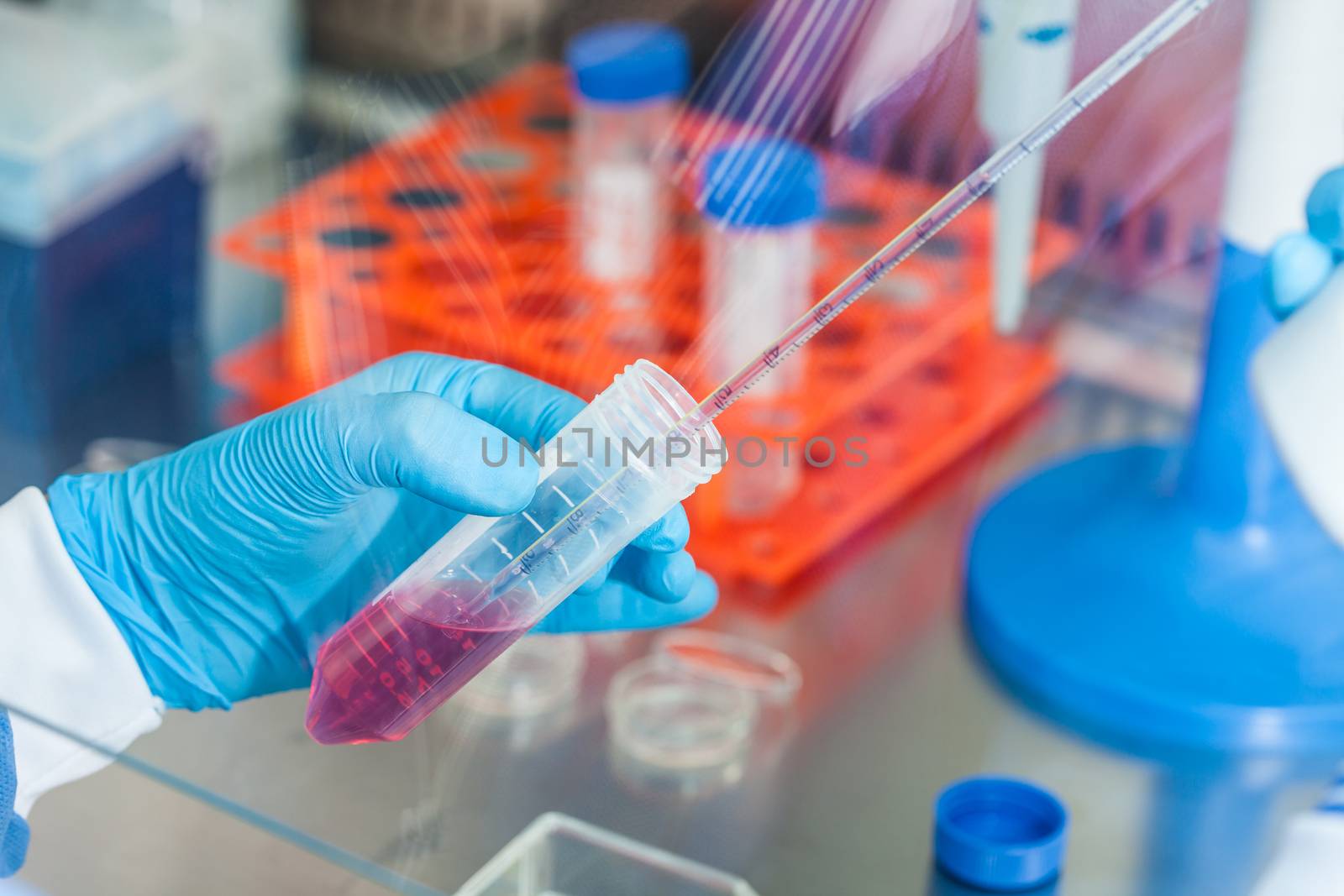 Scientist working with a falcon tube under sterile hood at laboratory