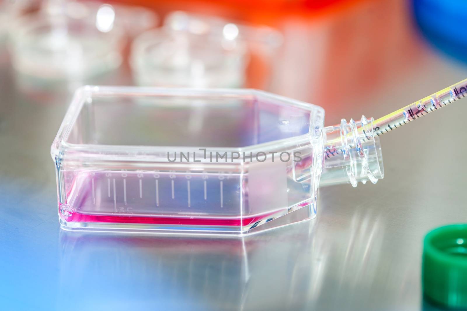 Cell culture flask under sterile hood at laboratory