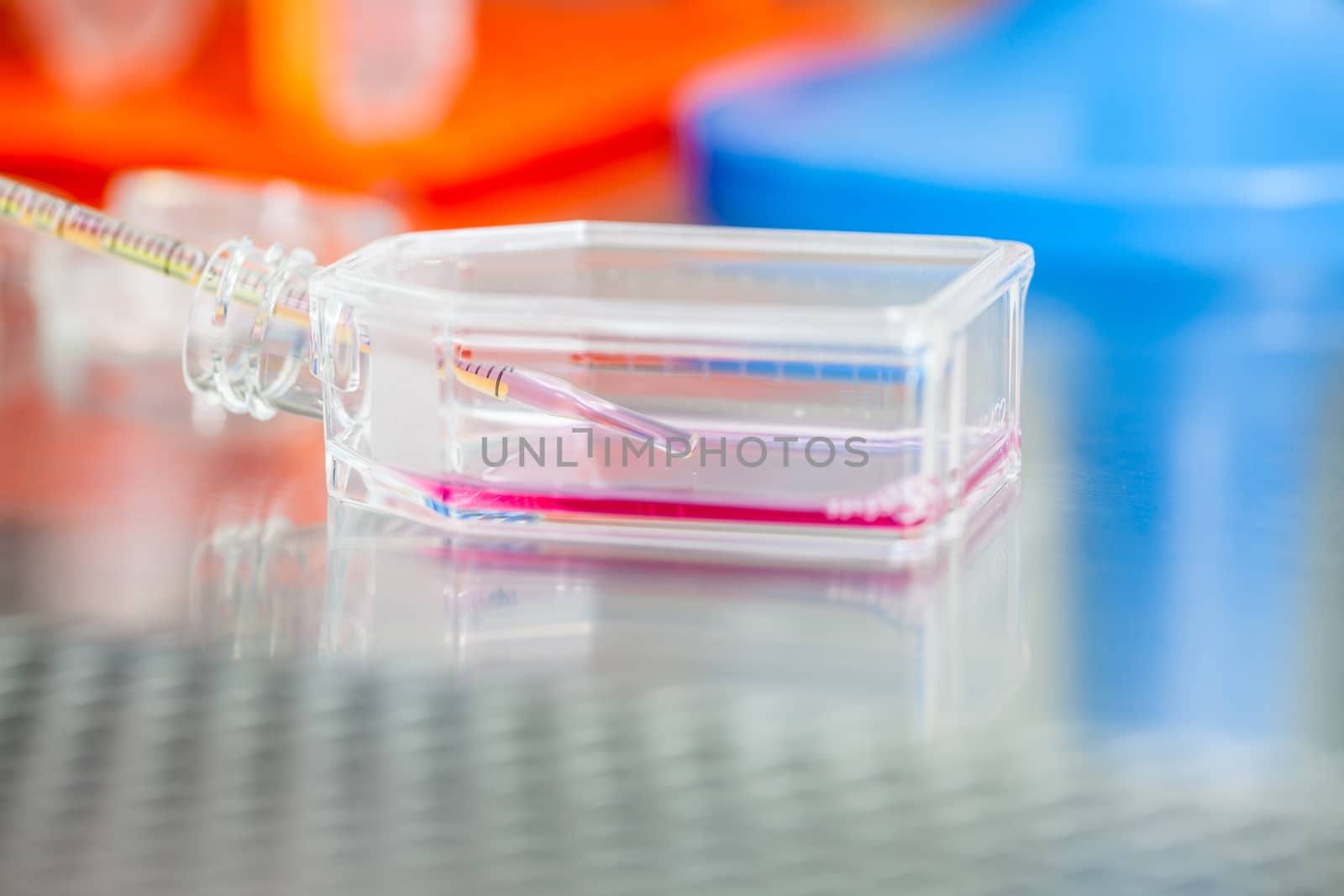 Cell culture flask under sterile hood at laboratory