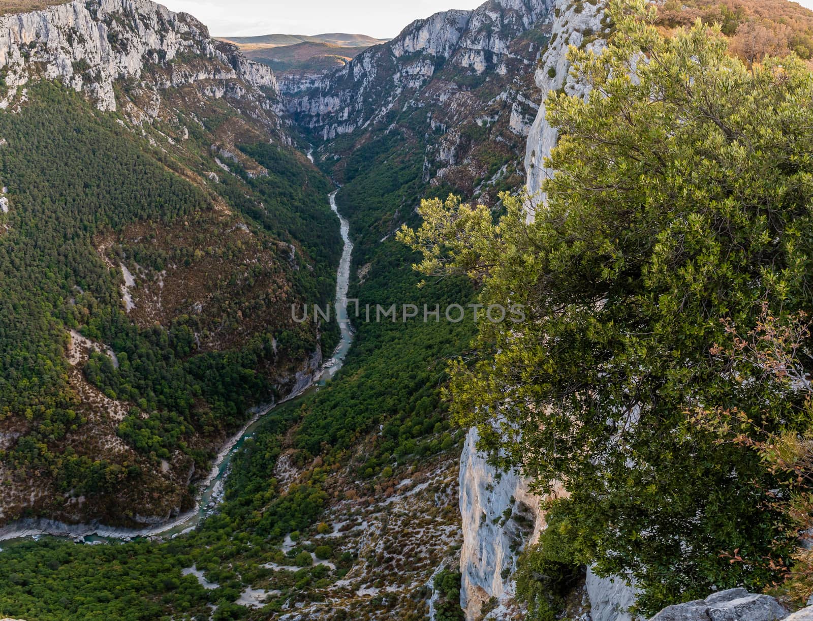 Stunning views over the Verdon canyon in France