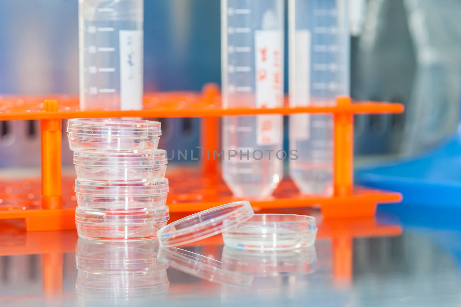 Laboratory materials in a safety laminar air flow cabinet at laboratory