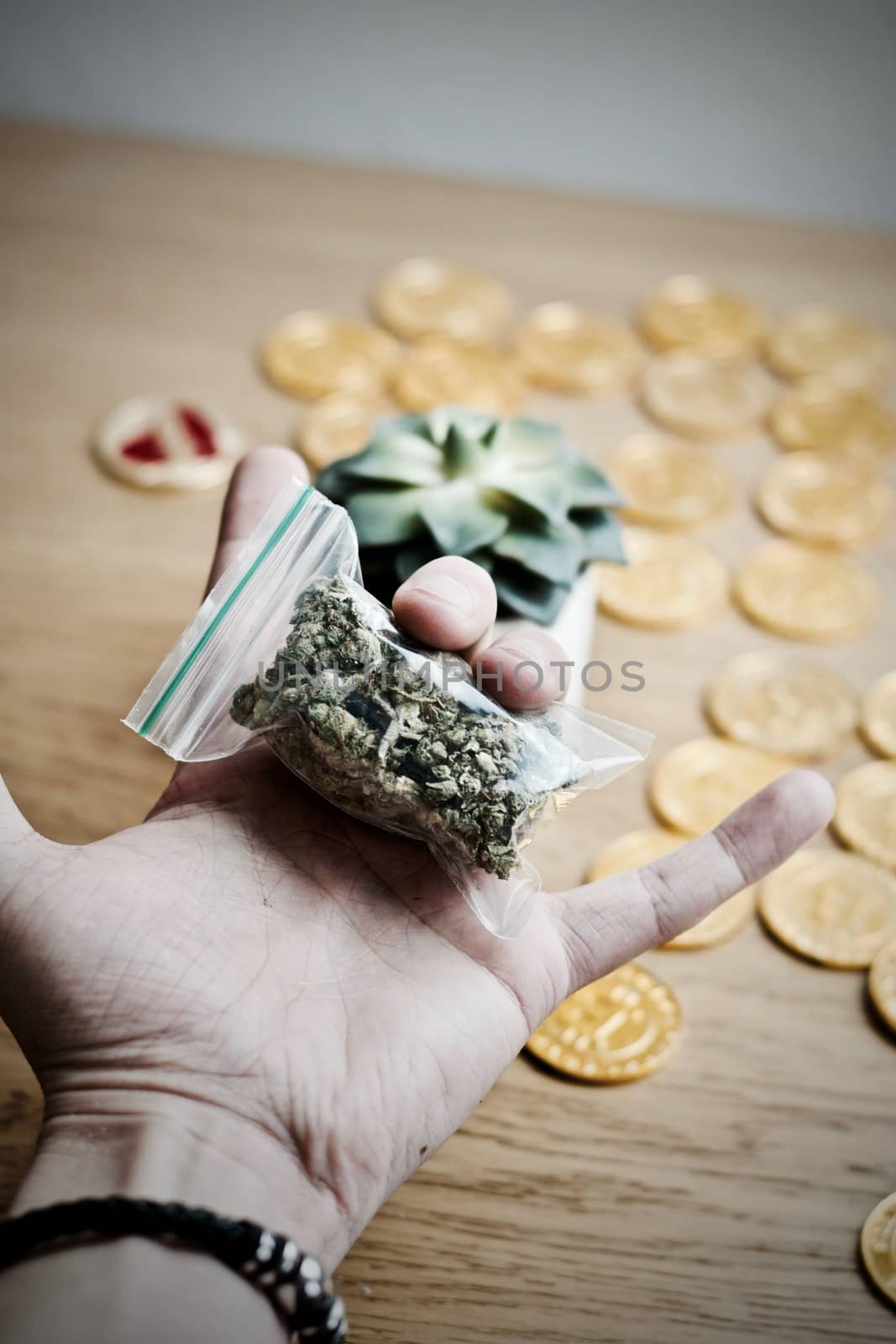 Green dry marijuana in man hand on the blurry background. Weed concept.