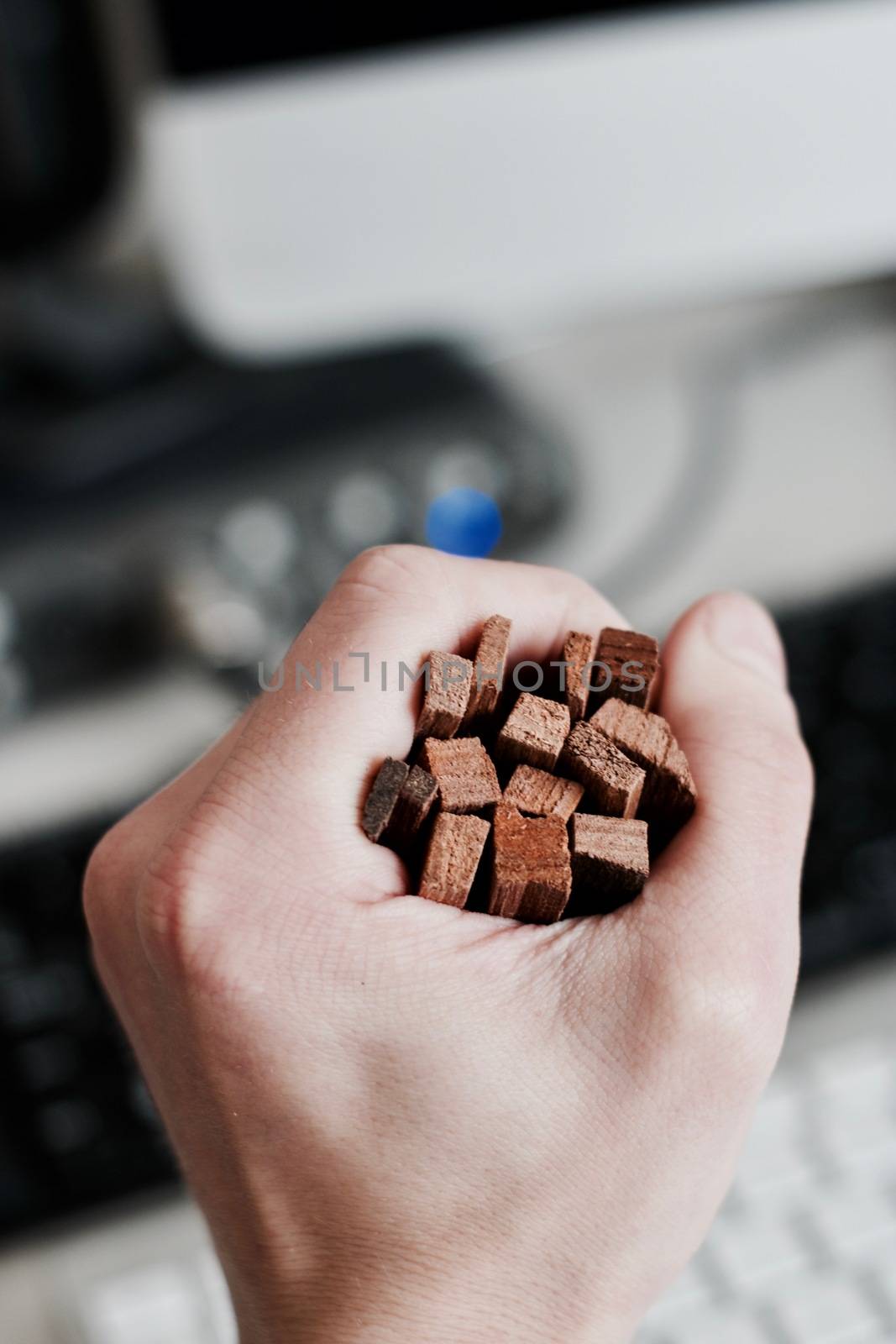 Man holding wooden sticks in hand. Sandal tree incense.