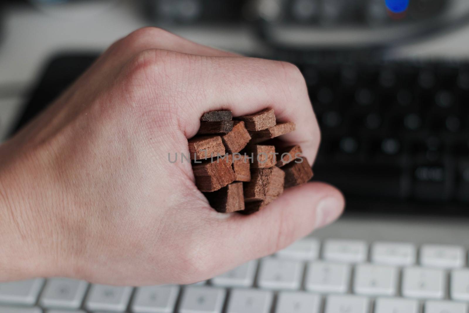 Man holding wooden sticks in hand. Sandal tree incense.