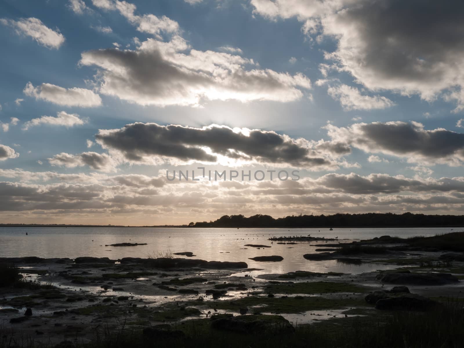 beautiful sunset over harbour coast sea bay clouds silhouette of birds landscape; essex; england; uk
