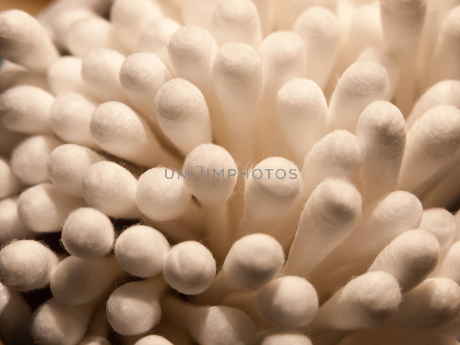 close of bunch of cotton wool bud q tips top ; essex; england; uk