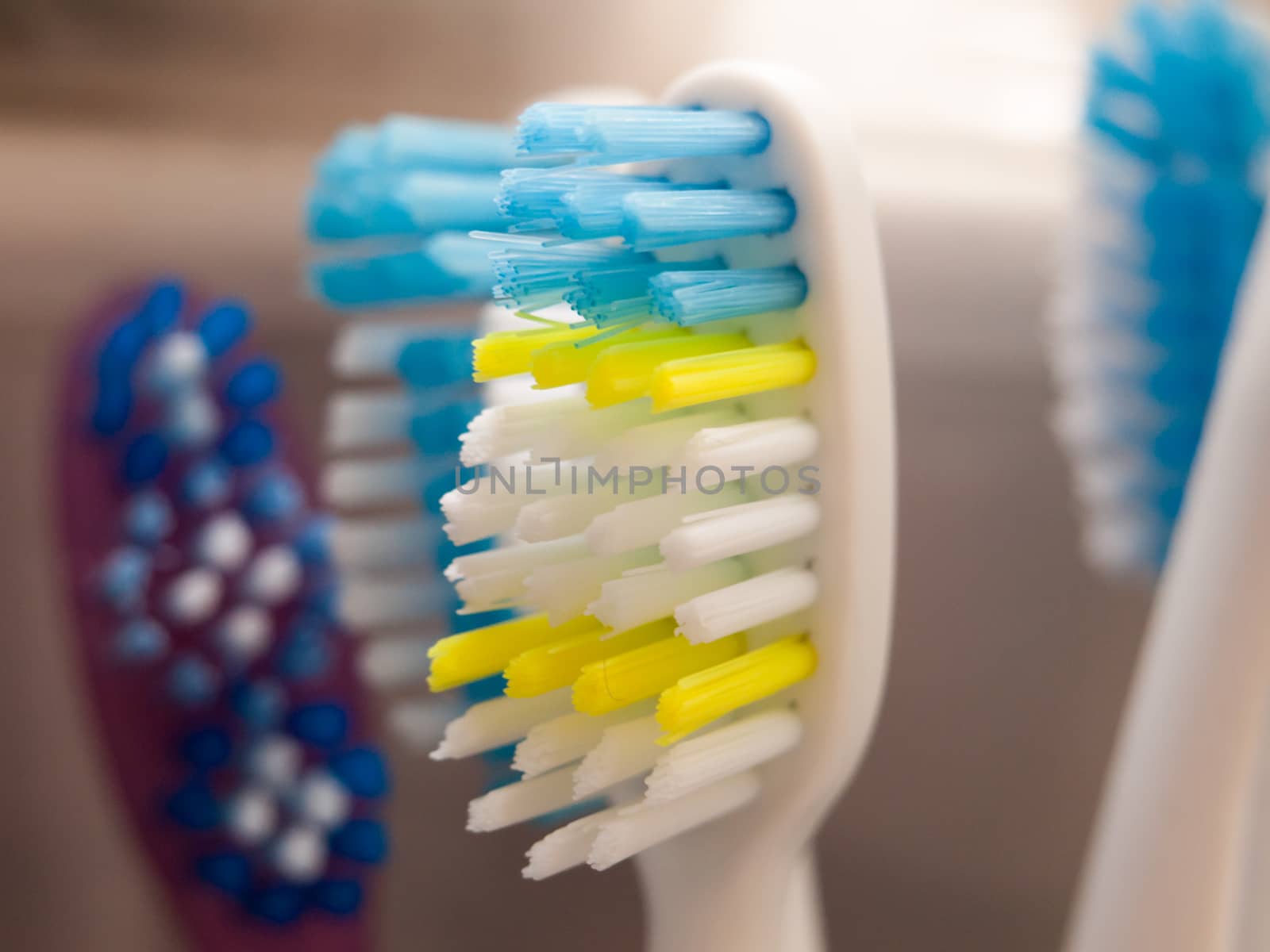 close up macro of tooth brush bristles head bathroom health teeth; essex; england; uk