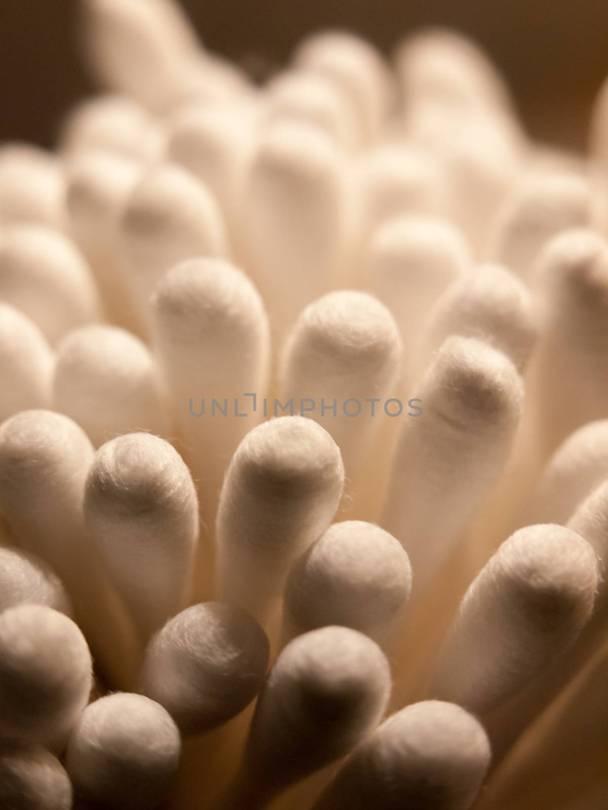 close of bunch of cotton wool bud q tips top ; essex; england; uk