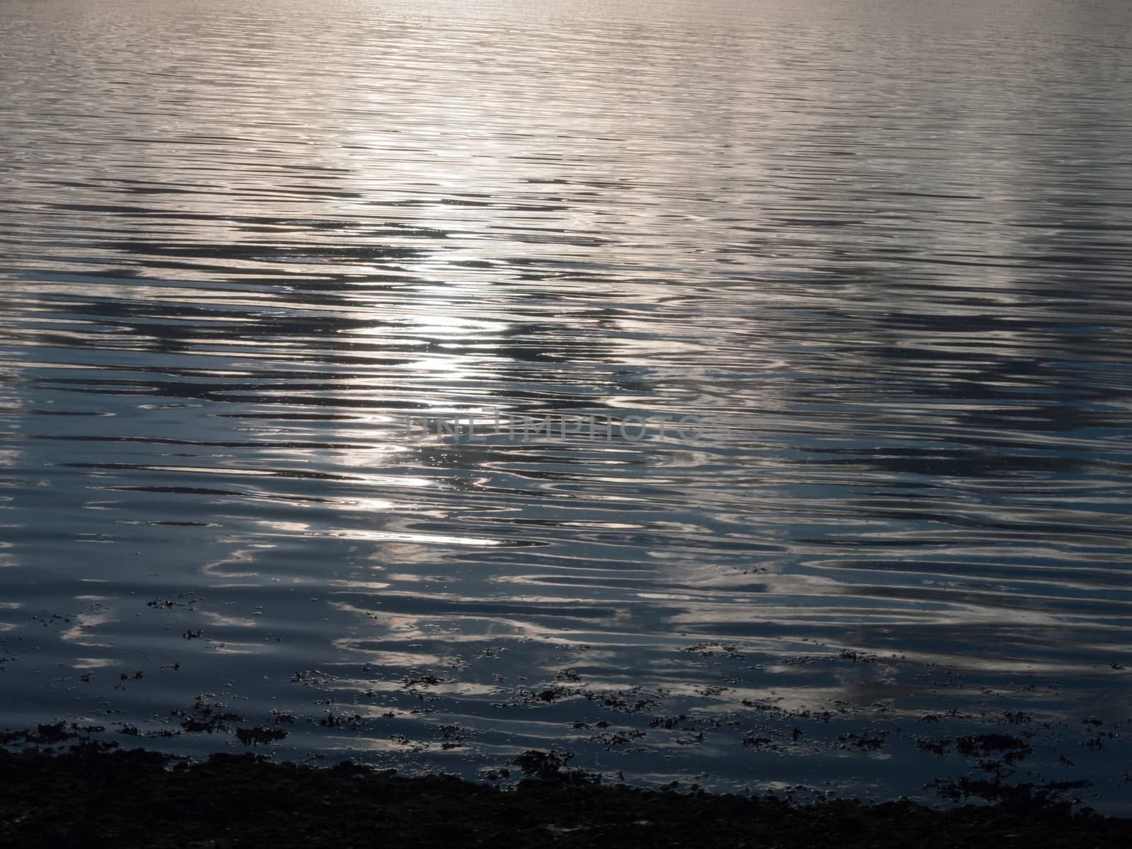 beautiful water surface sunset light waves ripples light; essex; england; uk