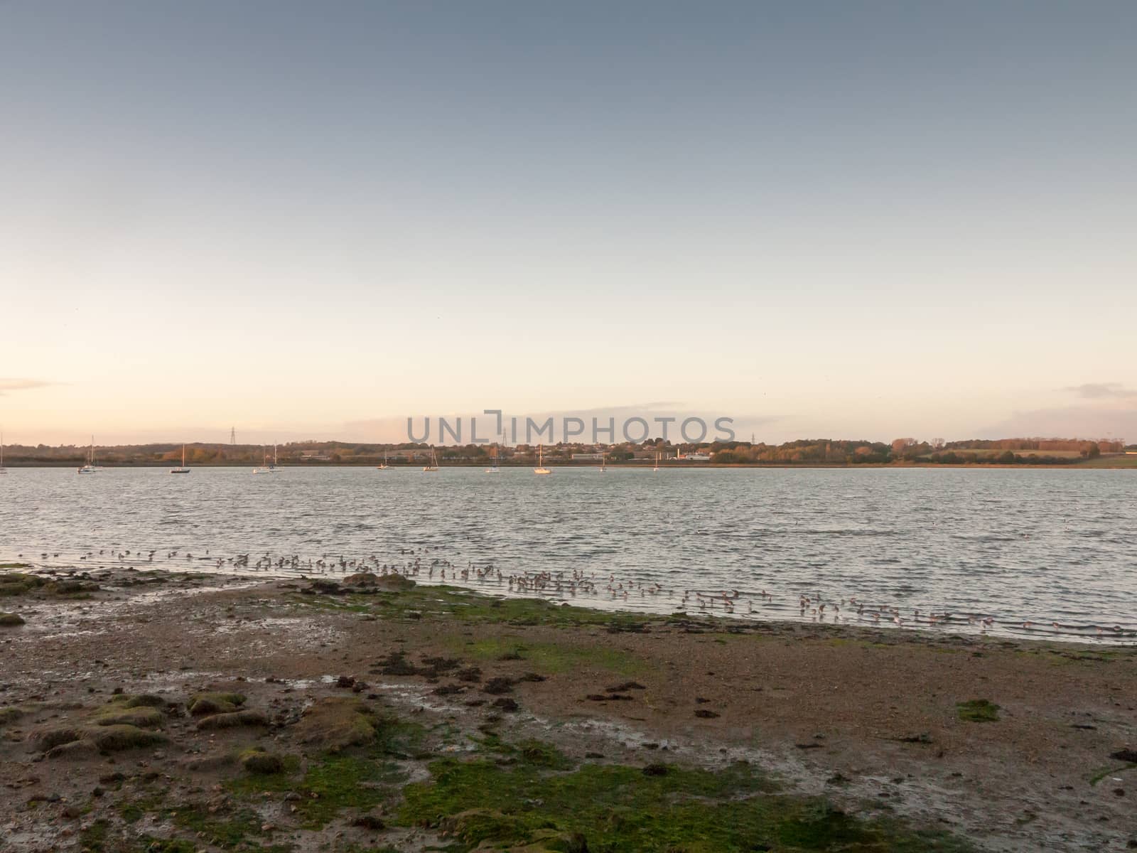 beautiful sunset evening bay scene open space water surface waves beach; essex; england; uk