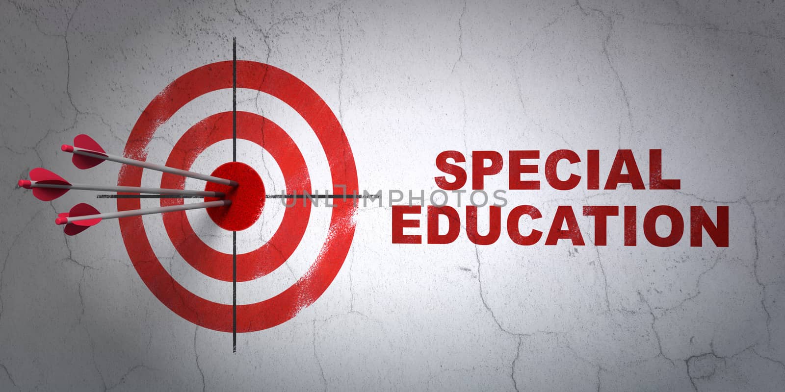 Studying concept: target and Special Education on wall background by maxkabakov