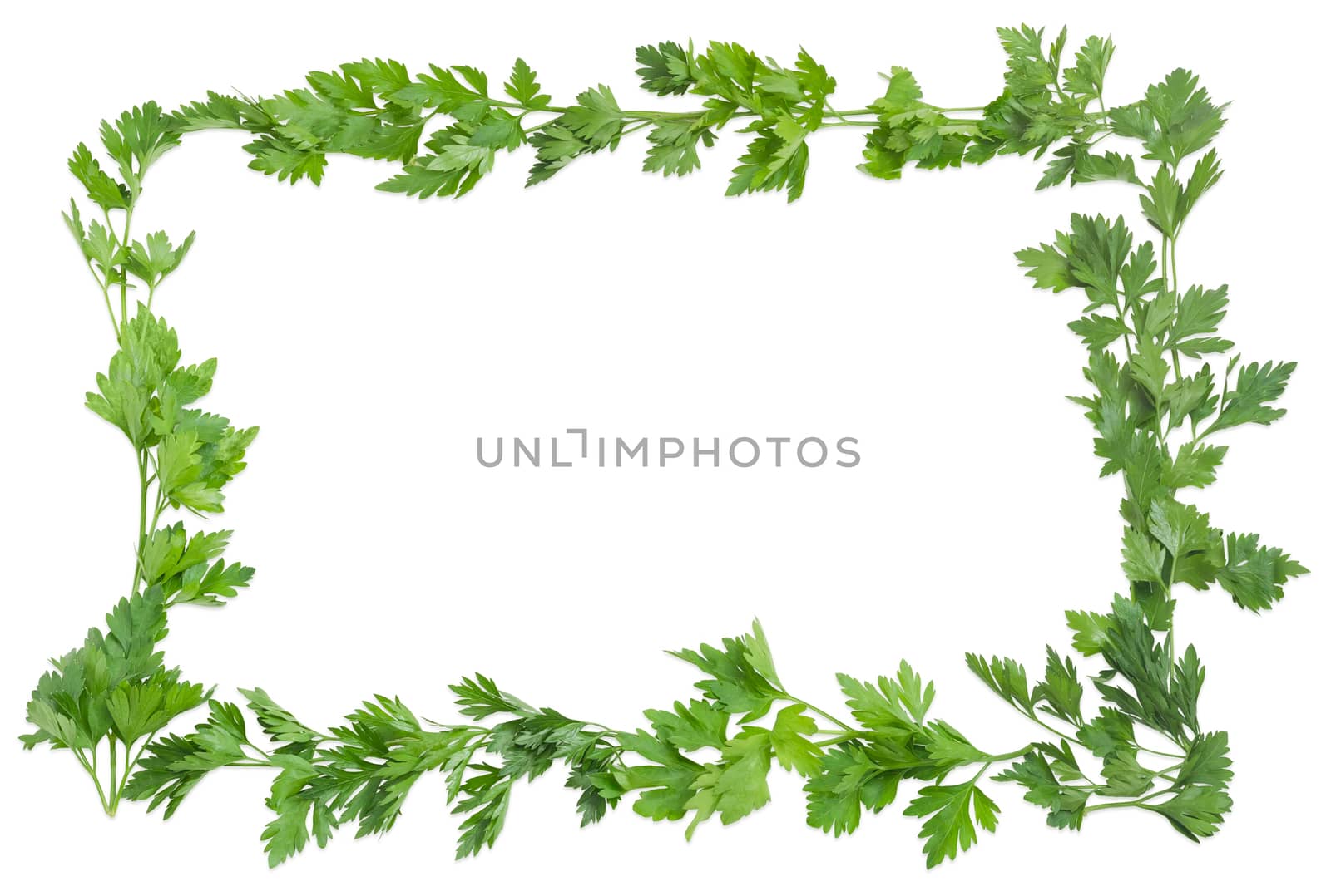 Background of the frame laid out with parsley  by anmbph