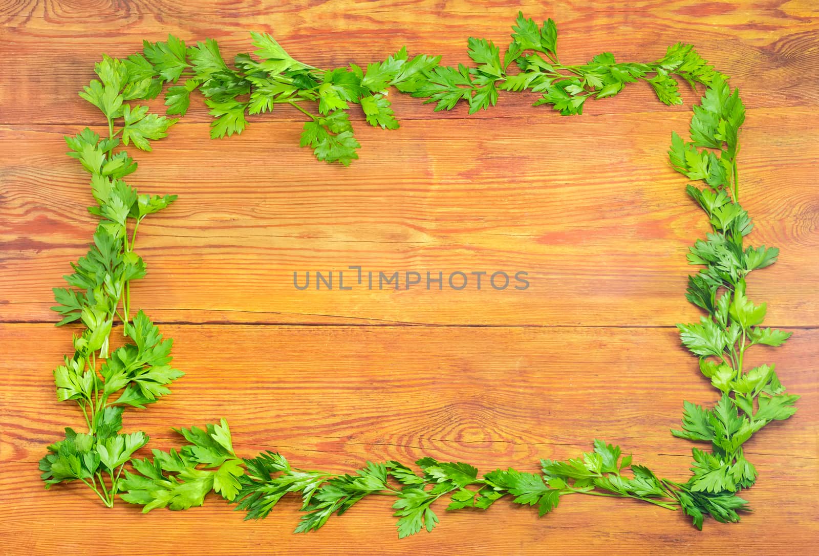 Background of frame made with parsley on wooden planks by anmbph