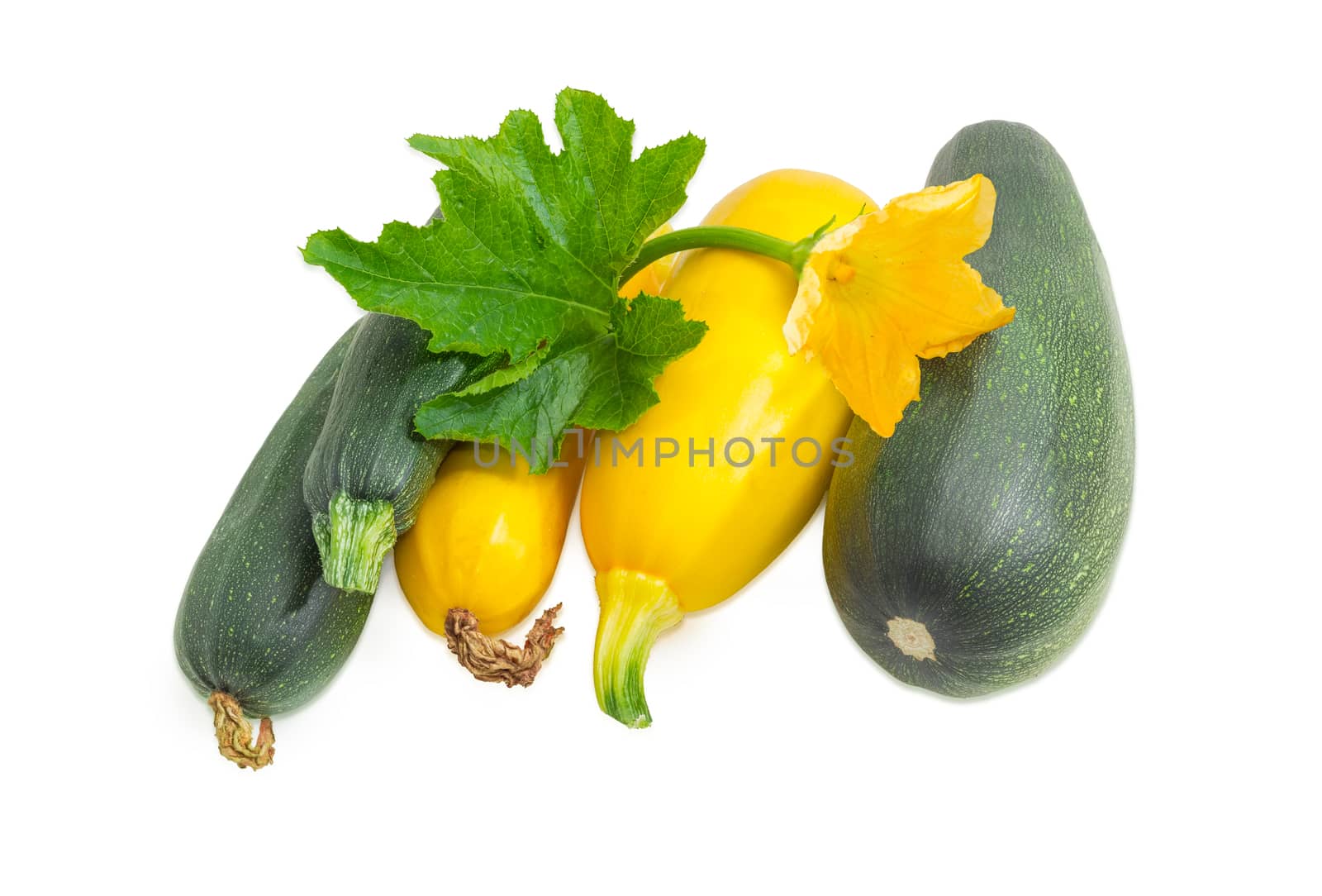 Several fresh dark green zucchini different sizes and yellow vegetable marrows with leaf and flower on a light background
