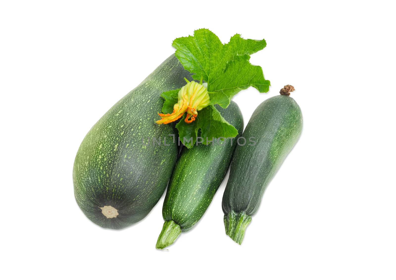 Three dark green zucchini on light background by anmbph