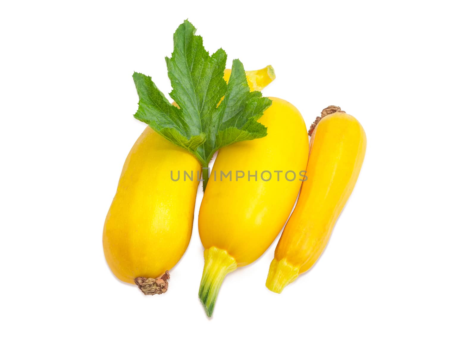 Three fresh yellow vegetable marrows with leaf on a light background
