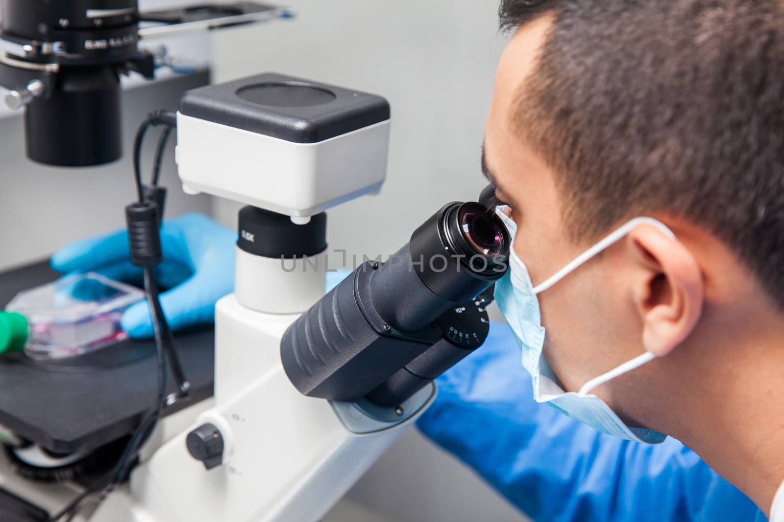 Young male scientist looking at cell culture under the microscope