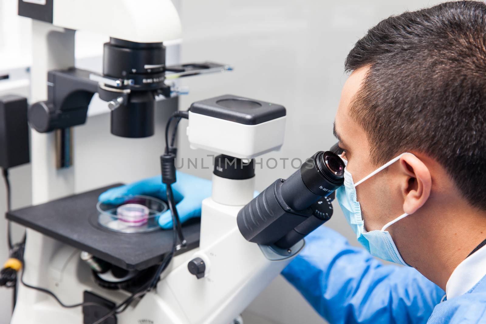 Young male scientist looking at cell culture under the microscope