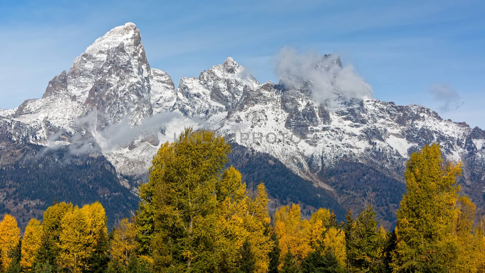 Autumn Colours in the Grand Teton National Park by phil_bird