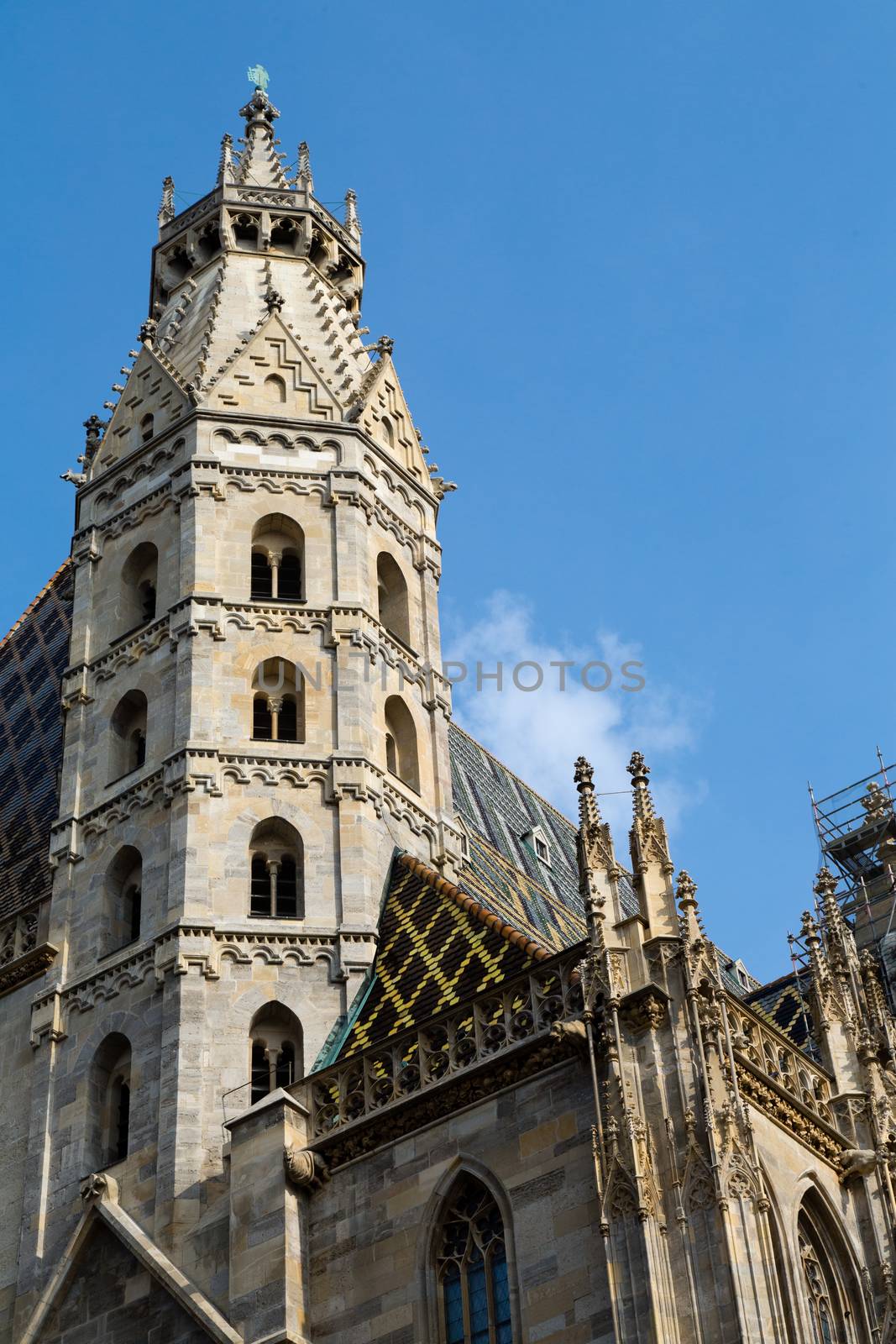 St. Stephen Cathedral Vienna by Kartouchken