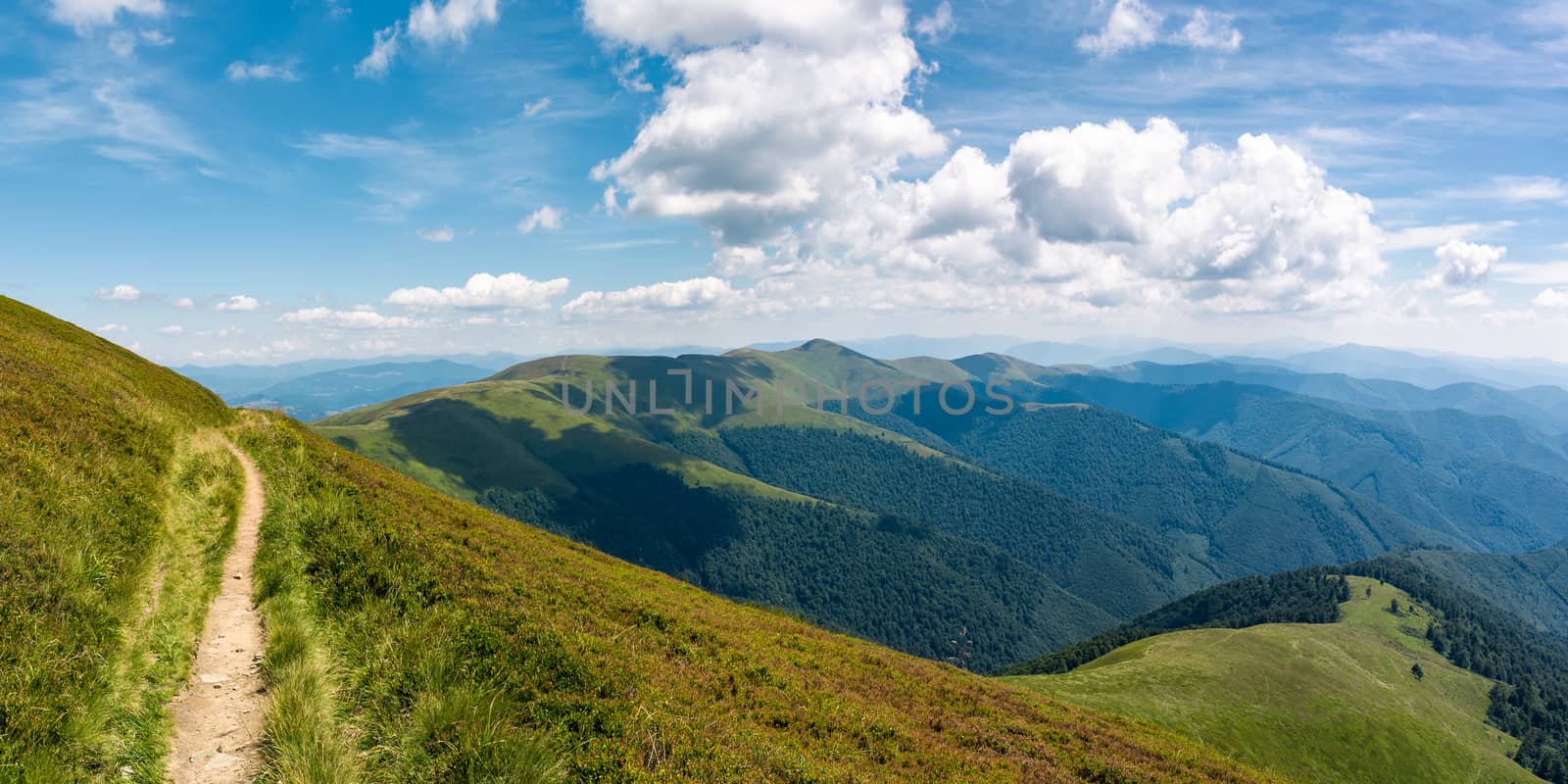 beautiful mountainous landscape on fine summer day. footpath running through grassy hillside under blue sky fluffy clouds. gorgeous panorama of mountain ridge