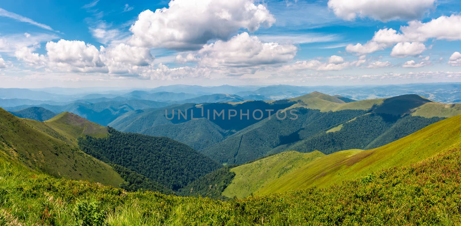 gorgeous panorama of mountains on fine summer day by Pellinni