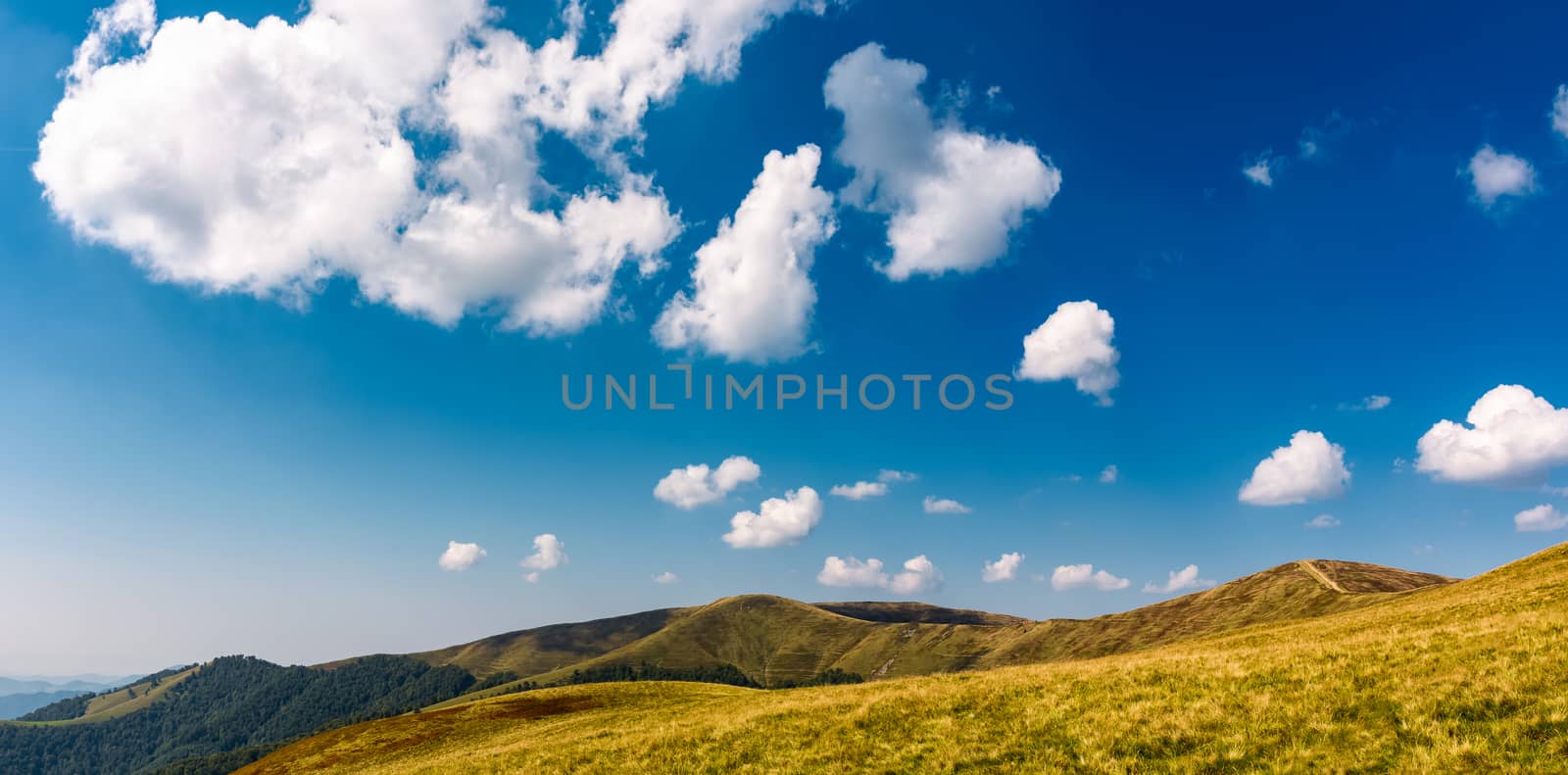 beautiful cloud formations on a deep blue sky. lovely panoramic landscape of mountain ridge